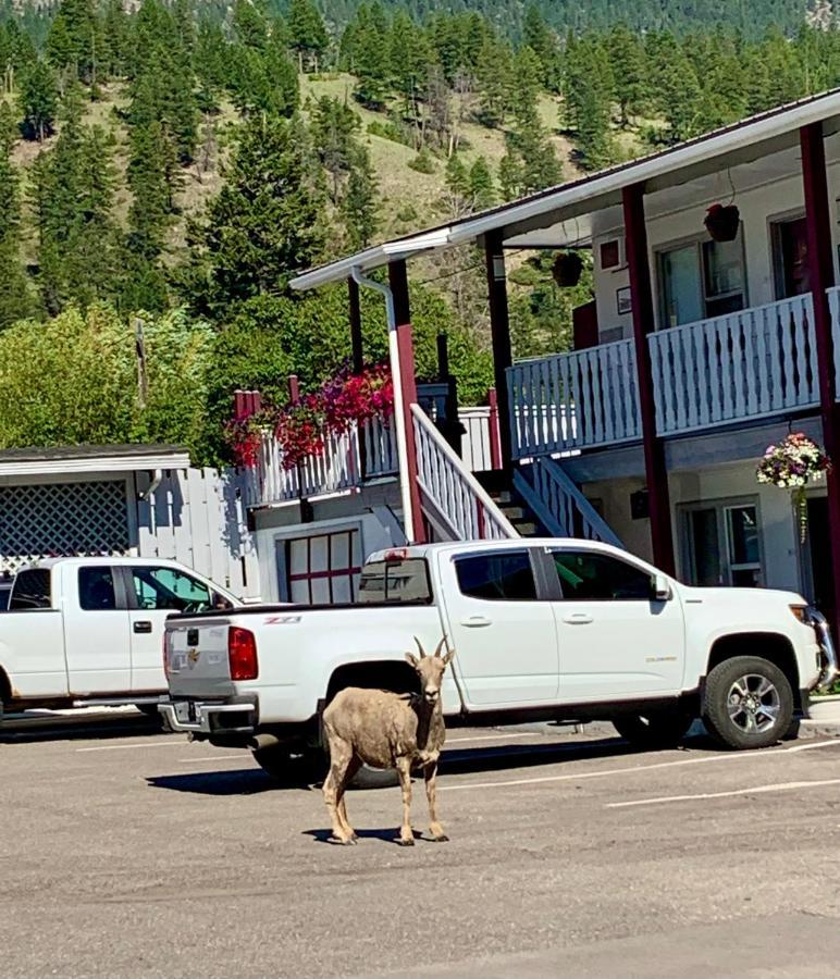 Mountain Springs Motel Radium Hot Springs Eksteriør billede