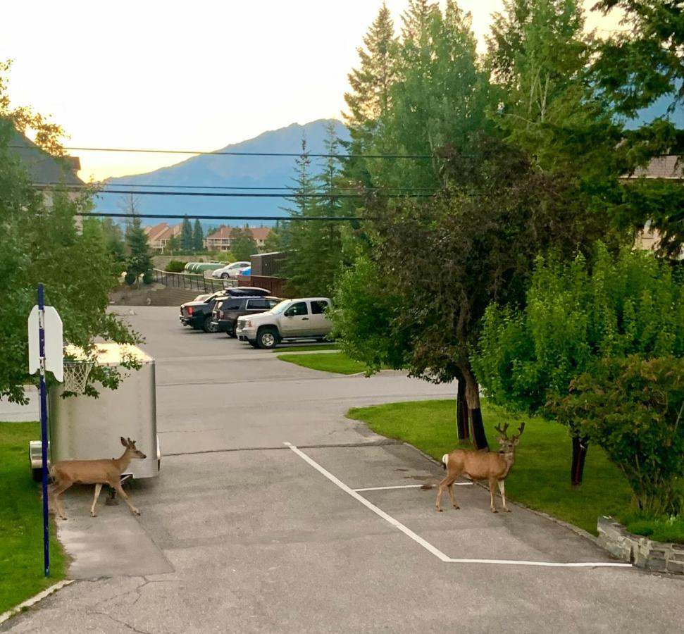 Mountain Springs Motel Radium Hot Springs Eksteriør billede