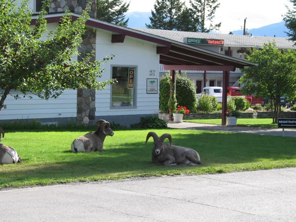 Mountain Springs Motel Radium Hot Springs Eksteriør billede