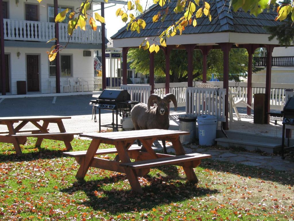 Mountain Springs Motel Radium Hot Springs Eksteriør billede